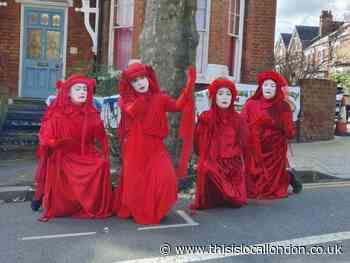 Red Rebels lead vigil to save Oakfield Road plane tree