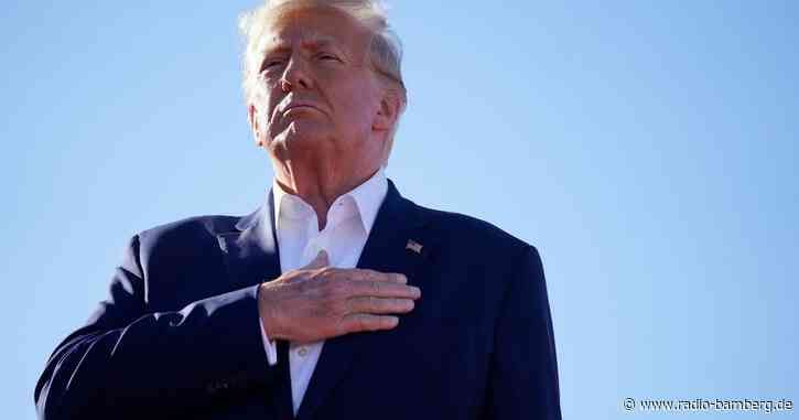 Pornostar, Zeuge, Ankläger: Figuren bei der Trump-Anklage