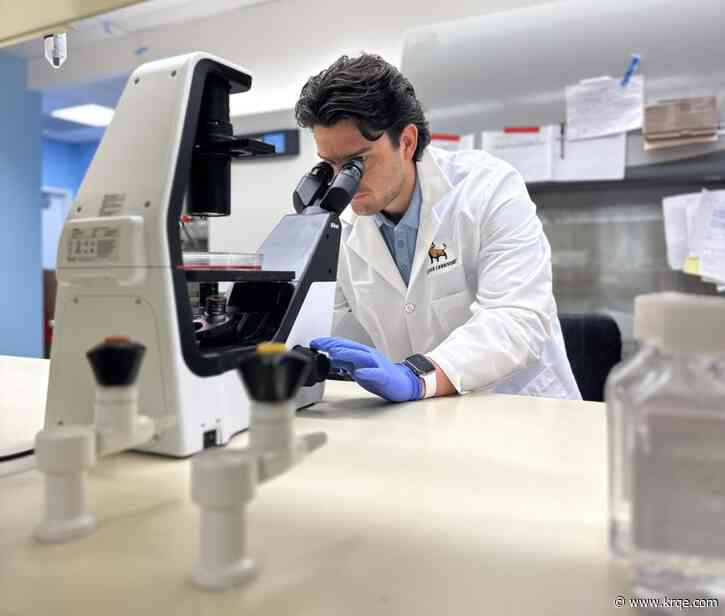 Would you eat lab-grown pork to save the environment?