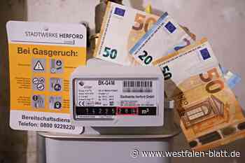 Herford spart 19 Prozent beim Gasverbrauch