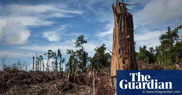 Pacific trade deal ‘will make mockery of UK’s climate ambitions’