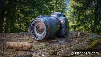 Putting the New Canon R6 Mark II Through Its Paces