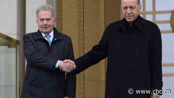 Finland clears final hurdle to join NATO