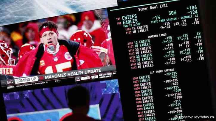 It’s been a busy opening year for Ontario’s fledgling sports-betting industry
