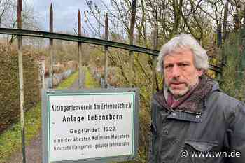 Darum heißt ein Kleingarten wie ein Nazi-Programm