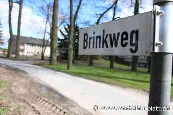 Rat in Delbrück genehmigt Mehrkosten für weitere Container am Brinkweg