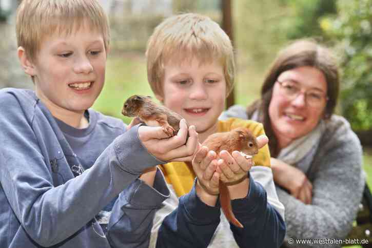 Tierpflegerin aus Bielefeld zieht zwei Eichhörnchen auf