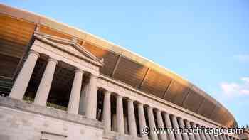 How Vallas, Johnson Would Address Chicago Bears' Potential Move to Arlington Heights