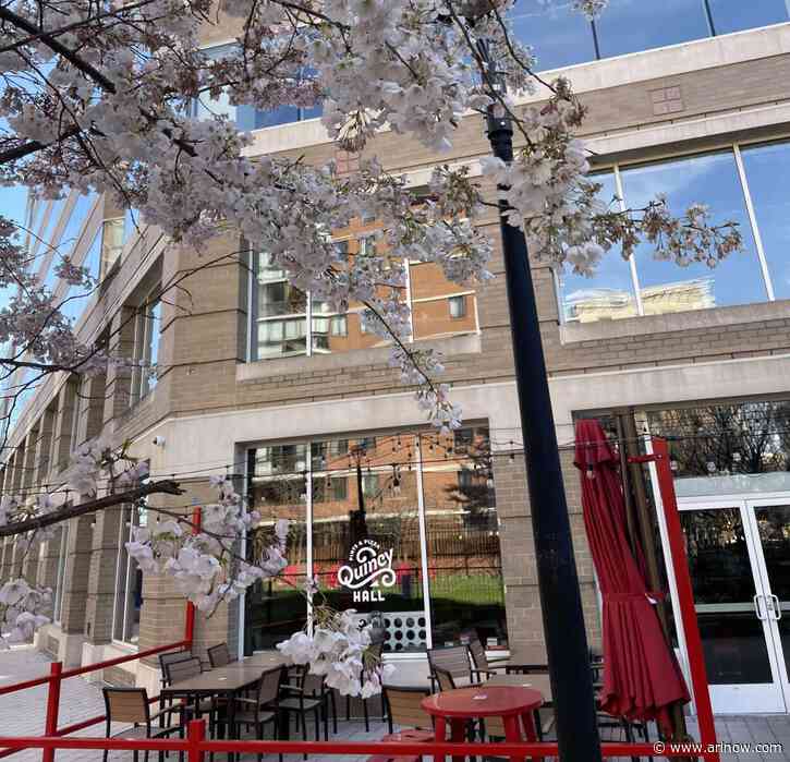 An Easter egg hunt for adults is coming to Ballston this weekend courtesy of Quincy Hall
