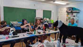 Pet First Aid: Here's how you can help your furry friend in an emergency.