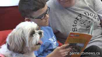 Unique program pairs therapy dogs with struggling readers to boost skills