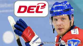 Heftige Prügelattacke: DEL sperrt Mannheimer Wolf