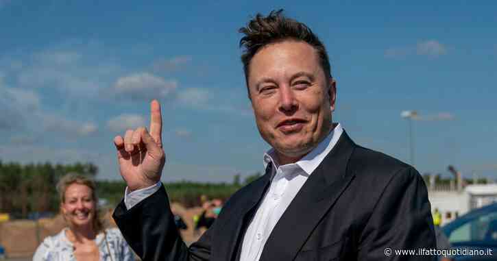 Cosa è il logo del cane comparso su Twitter al posto dell’uccellino. E perché riguarda Musk