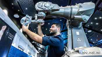 Circular saw-wielding robot starts work at Queensland abattoir