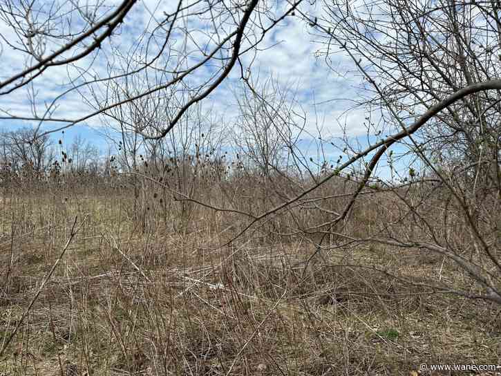 3 shell buildings proposed for Illinois Road behind DeHaven Chevrolet