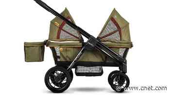 Best Strollers of 2023     - CNET