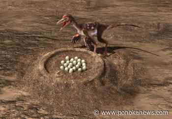Dinosaur species laid eggs like reptiles, brooded like birds, new study finds