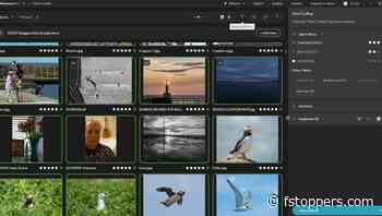 Speed Up Your Culling and Editing With Aftershoot PRO and EDITS