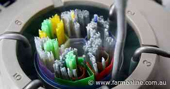 Sexed dairy and beef semen continue to drive strong domestic market