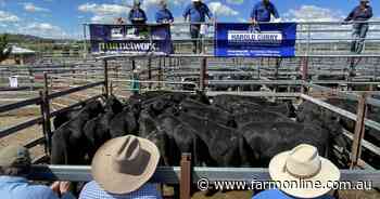 Young cattle market turns on tighter supply