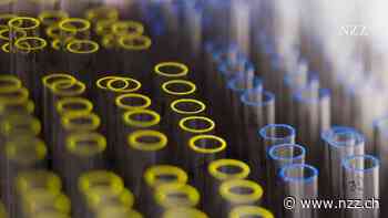 Nasenspray-Impfung gegen Corona zeigt Erfolge bei Tierversuchen