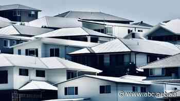 Reserve Bank hands borrowers a reprieve by leaving interest rates on hold