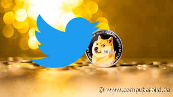 Kurs steigt: Twitter-Vogel durch Dogecoin-Logo ersetzt