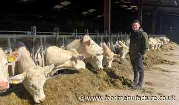 HCC £4k international scholarship open for applications