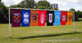 'No Tigers': Hull City's badge reimagined to highlight climate change