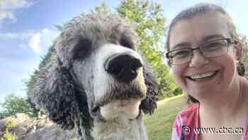 Sudbury, Ont., woman says she's not allowed at her children's school with her service dog