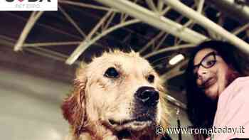 "A tutta Coda", Pet Expo 2023