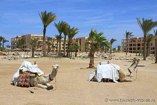 Ägypten und Tunesien: All-inclusive sorgt für starke Nachfrage