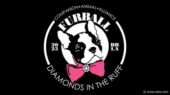 Companion Animal Alliance hosting 10th annual FurBall