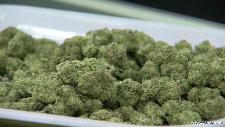 New Mexico sees $300 million in recreational cannabis sales since legalized