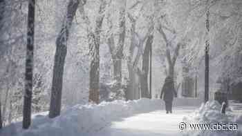 Where is spring? Chilly, snowy Sask. weather to hang on a bit longer