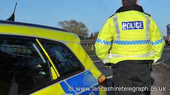 Appeal after sheep has throat 'savagely ripped out’ in attack