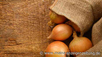 Edeka-Zwiebeln amüsieren Kunden: „Mal wieder richtig wild“