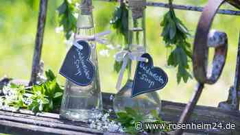 Waldmeistersirup für eine Maibowle selber machen mit nur fünf Zutaten