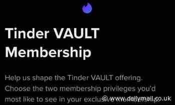 Tinder is working on secret $500-a-month version of app