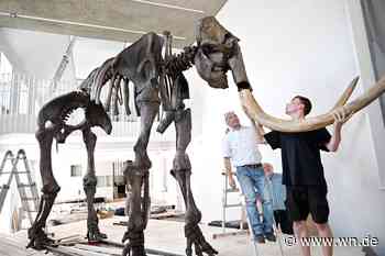 Universität will ihr Geomuseum im August eröffnen