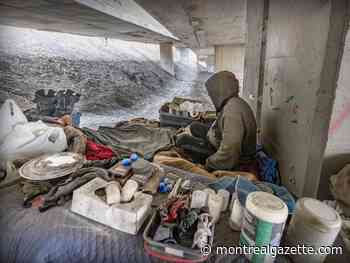 Finding solutions for unhoused people living under expressway not simple, lawyer argues