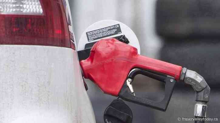 Average carbon rebates were higher than average carbon price costs in 2021: report