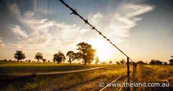 Labor government must connect with purpose for regional, rural and remote NSW