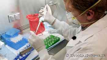 Pet dog dead after contracting avian influenza in Ontario