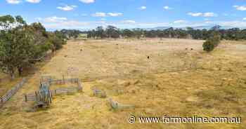 Small Gippsland farm block sells for big money