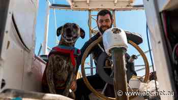 When money kept 'disappearing into life expenses', Alan moved onto a boat