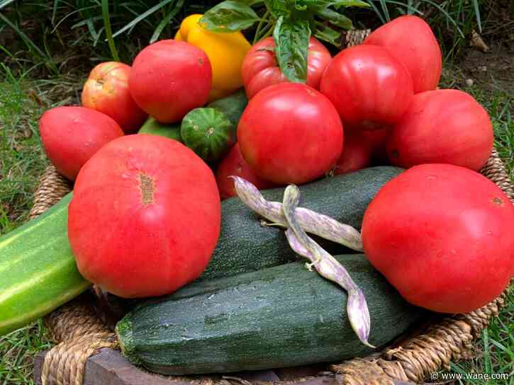 Helpful tips for gardening this spring in Indiana