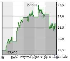 BYD: Konkurrenzkampf mit Tesla und Verhandlungen mit Ford