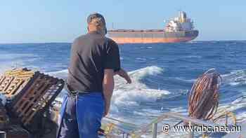 Lobster fishers call for cargo ships to be restricted to deeper waters off WA