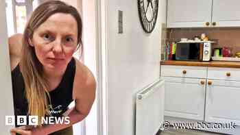 I'm being terrorised by the squirrels in my kitchen